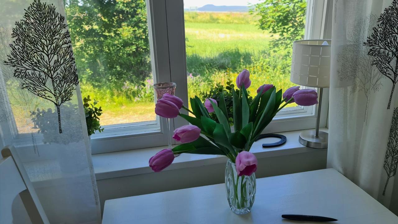 Symaskinshuset Jaervsoe エクステリア 写真